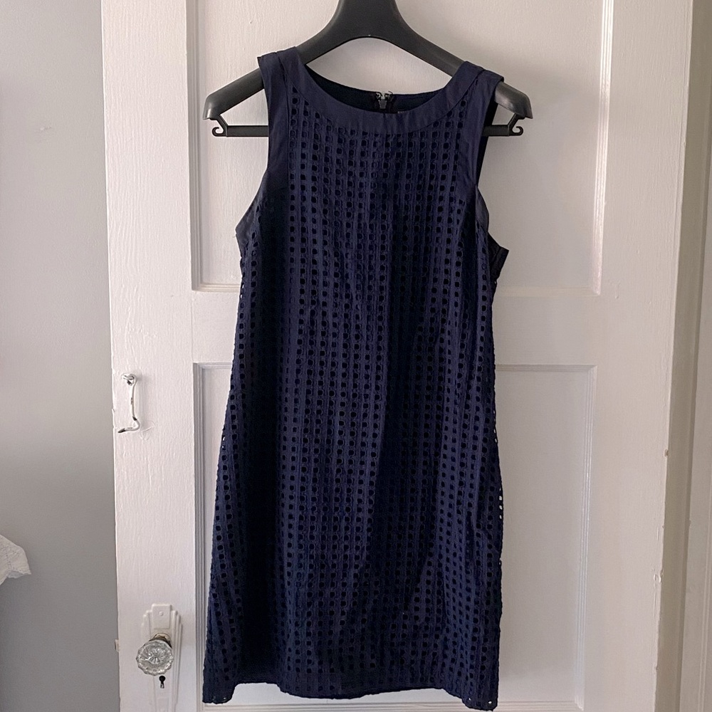 Navy Banana Republic Dress